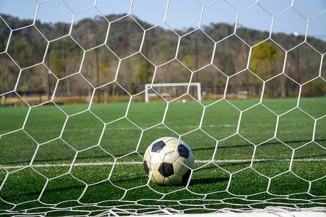 分享胜利喜 分享胜利喜