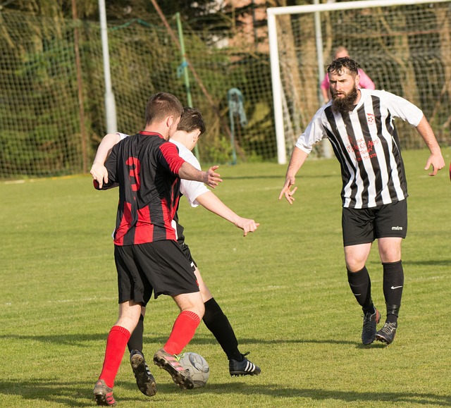 的训练方法 的训练方法