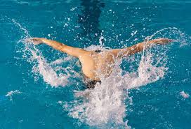 有研究表明 有研究表明