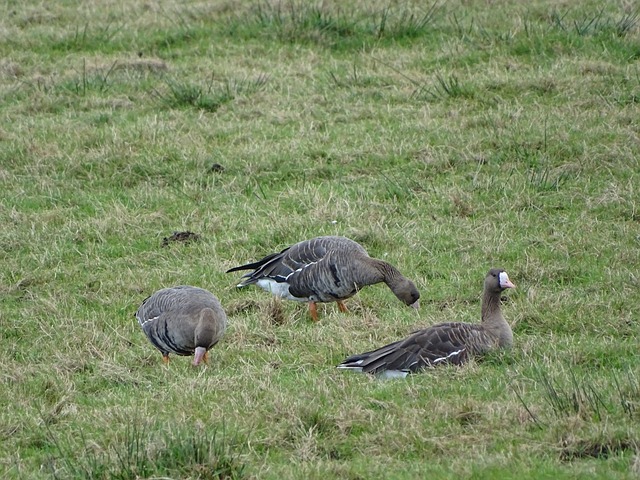 他的个人统 他的个人统
